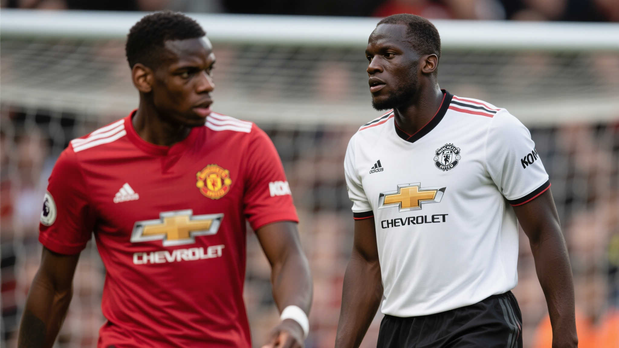 华体会官网介绍